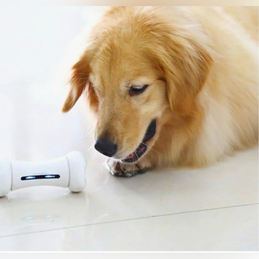 NWT Cheerble Wickedbone App Controlled Interactive/Self Play Dog Bone Toy. - Picture 7 of 8
